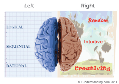 Left Brain vs. Right Brain Function in Learning | Funderstanding