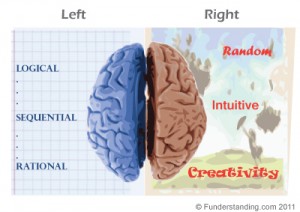 right brain vs. left brain